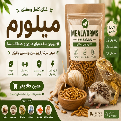  میلورم خشک شده (Mealworm) | مکمل اختصاصی پرورش حلزون 