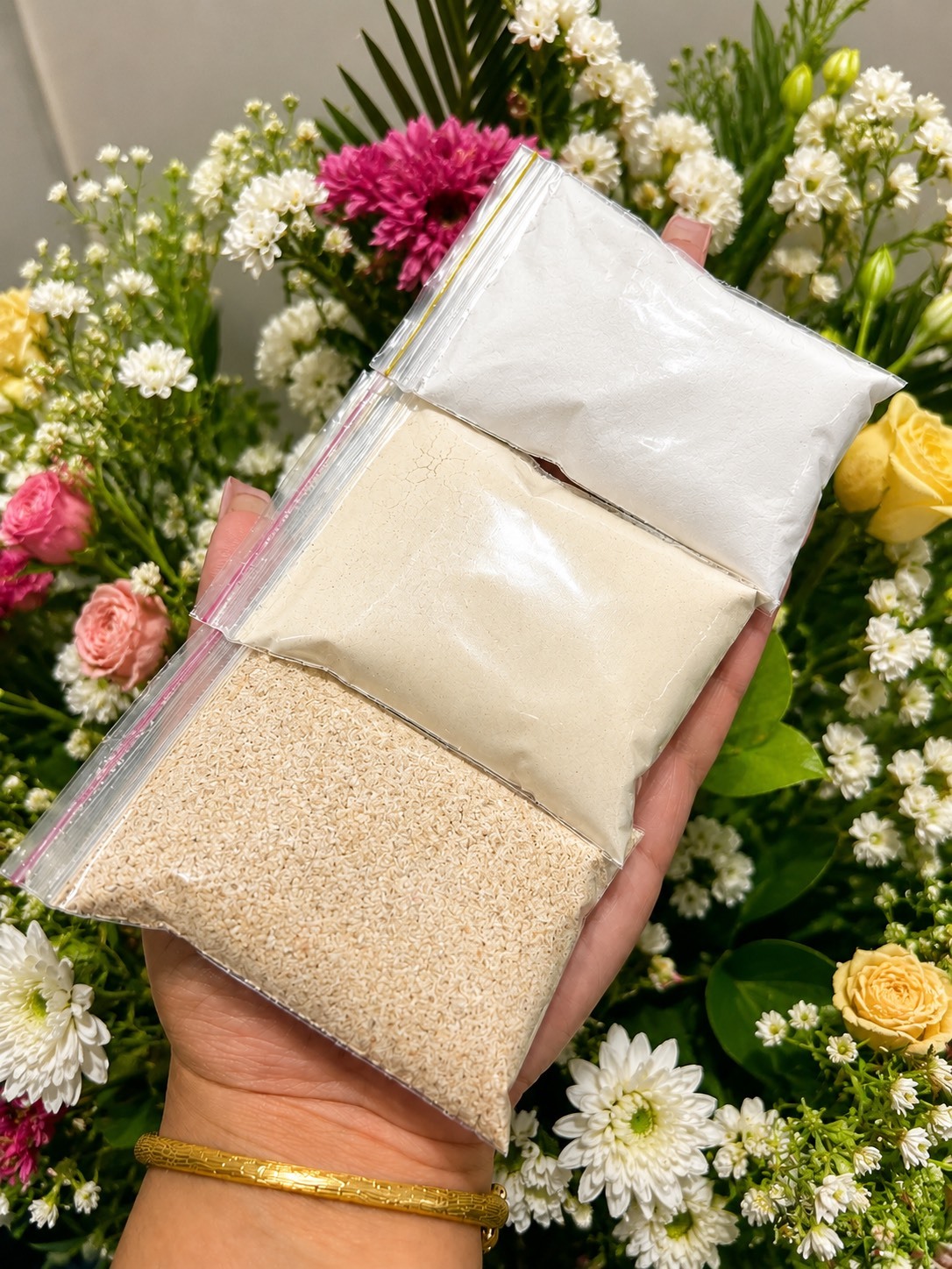 پک ویژه «استارت حرفهای» پرورش حلزون مولد غولپیکر آلبینو